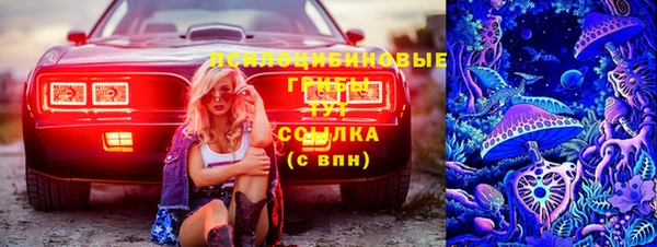 ECSTASY Остров