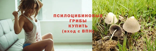 метадон Осинники