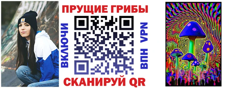 Псилоцибиновые грибы ЛСД  Купить закладки  Зверево 